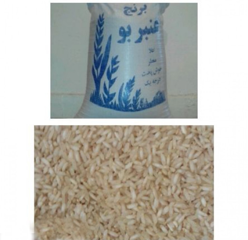 برنج عنبربو کشت خوزستان